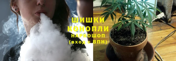 spice Аркадак