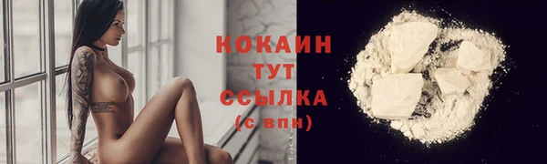 spice Аркадак