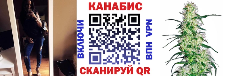наркота  Устюжна  Каннабис Amnesia 